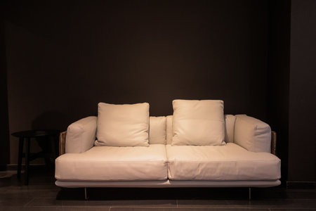 Designed white sofa with two cushions is set against a stark black background, complemented by a...