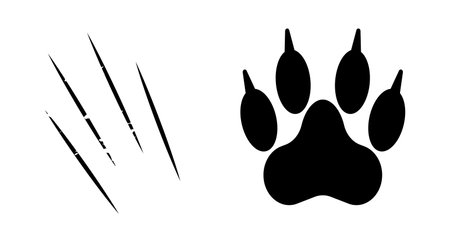 Paw with claws. Scratching claw. Animal attack. Editable vector.のイラスト素材