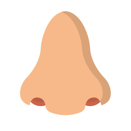 Flat design human nose icon. Editable vector.のイラスト素材