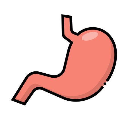 Flat design stomach icon. Digestion. Editable vector.のイラスト素材