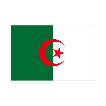 Algeria flag. Algerian flag. Editable vector.のイラスト素材