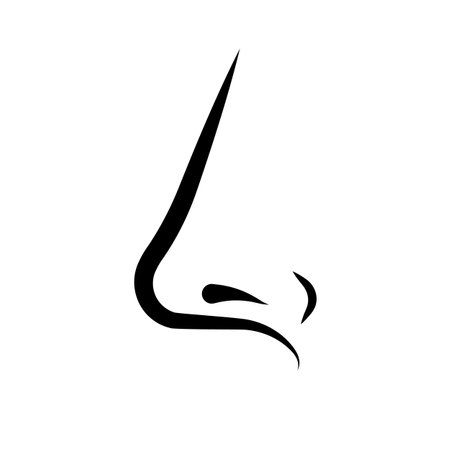 Simple human nose icon from the side. Editable vector.のイラスト素材