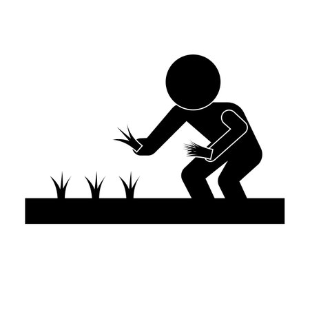 Person planting rice silhouette. Editable vector.のイラスト素材
