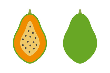 Sliced papaya and whole papaya icon set. Editable vector.のイラスト素材