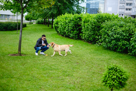 Man and dog playing in the park. Sunny dayの写真素材