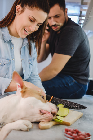 Girl is laughing while dog is stealing apple and boyfriend talking on the phoneの写真素材