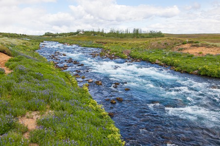 Icelandic landscape with blue water streamの写真素材