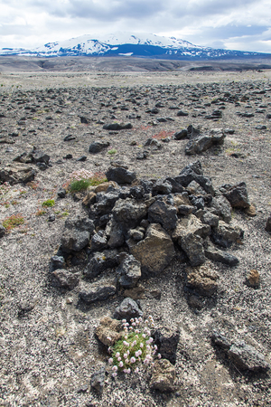 Stone and ash wasteland - volcanic landscapeの写真素材