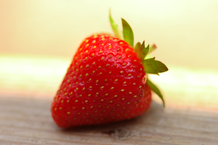 Fresh strawberry photographed in daylight conditionsの写真素材