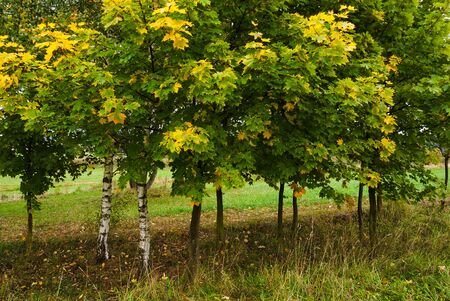 Scenic views, in scenic areas mountains Jeseniky, in different season の写真素材