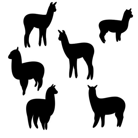 Alpaca silhouette with white background, 6 unit alpacaのイラスト素材
