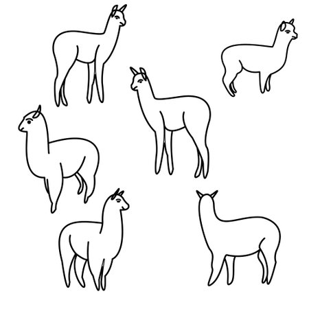 Vector illustration of a set of alpaca in different poses.のイラスト素材
