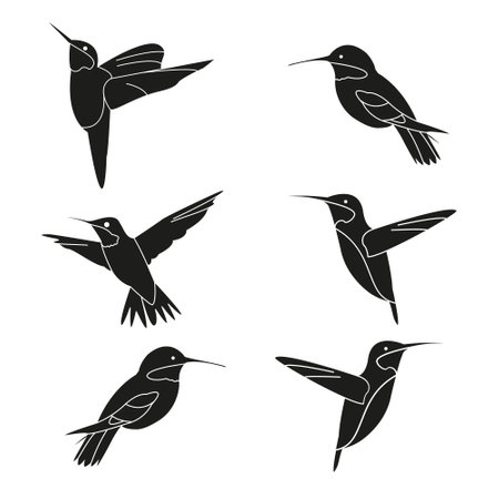 Hummingbird icon set. Simple illustration of 6 hummingbird icons for webのイラスト素材