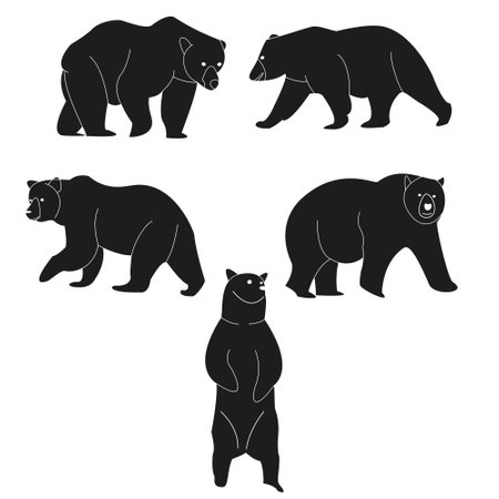 Set of bears. Vector illustration isolated on white background. Bear icon.のイラスト素材