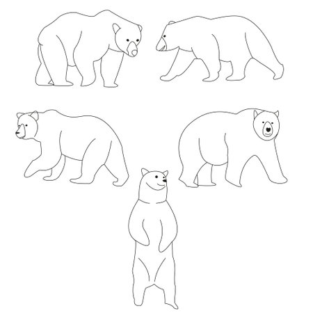 Set of bears. Vector illustration isolated on white background. Bear icon.のイラスト素材