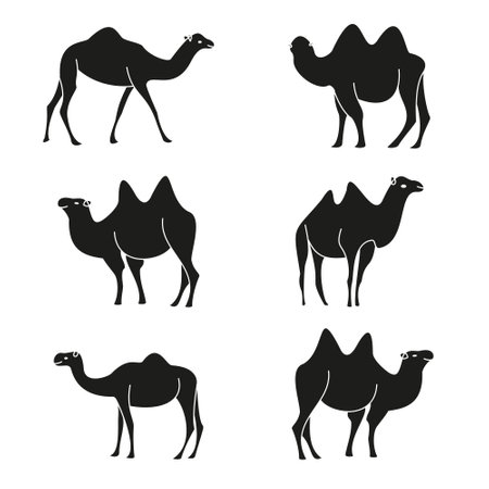 Camel icons set. Simple illustration of 6 camel icons for webのイラスト素材