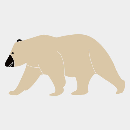 Polar bear on a gray background. Vector illustration of a polar bear.のイラスト素材