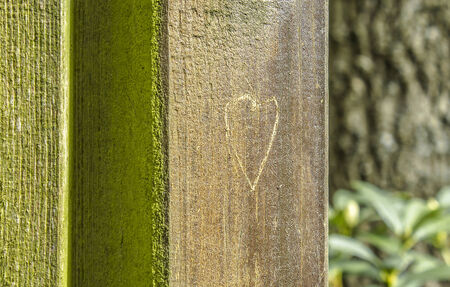 heart in wood plankの写真素材