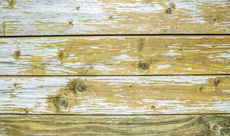 bright wooden backgroundの写真素材