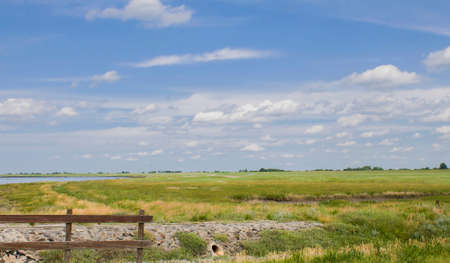 meadow landscape