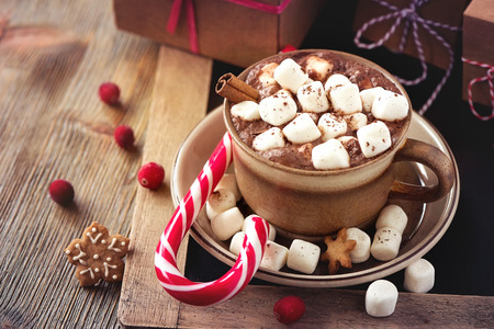 Winter hot drink, cacao with marshmallows and christmas cookies, spicy hot chocolateの写真素材