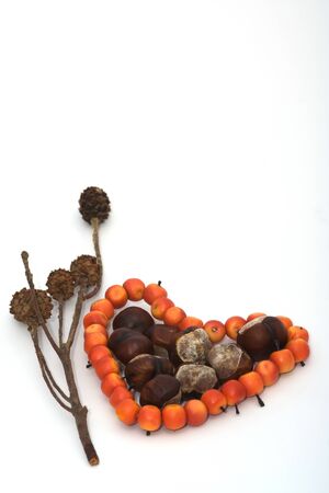 Still life autumn with a heart and white backgroundの写真素材