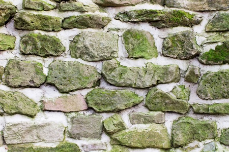 Detail of an old stone front with moss