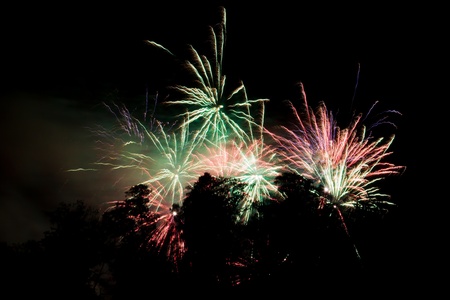 Colorful fireworks in the night behind the silhouettes of treesの写真素材