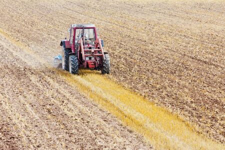 A tractor with a cultivator on a cornfield