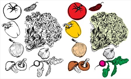 Hand drawing vegetables collectionの写真素材