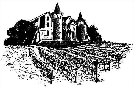 Castle - vineyard のイラスト素材