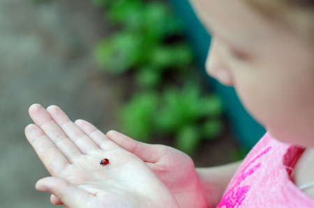 ladybird on hand at the girl