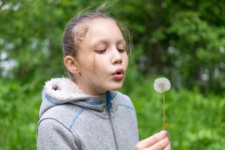 Little girl blowing on a dandelionの写真素材