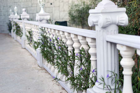 Flowers grow through the fence near the footpath.