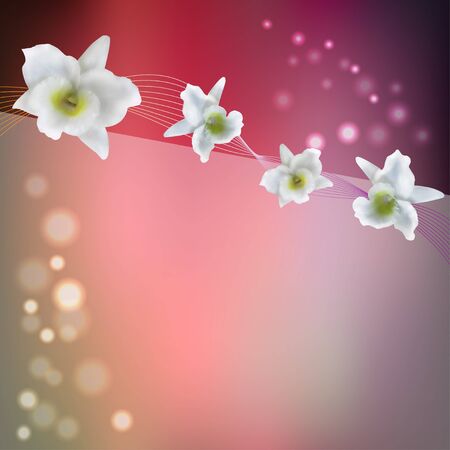 flower purple background with white blossom orchidのイラスト素材