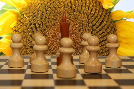 Chessの写真素材