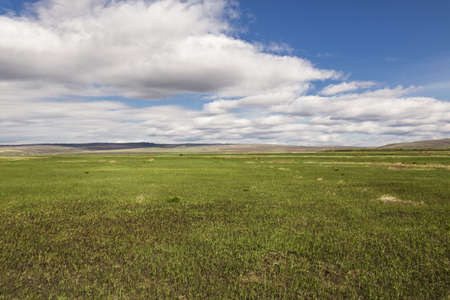 Siberian expanses