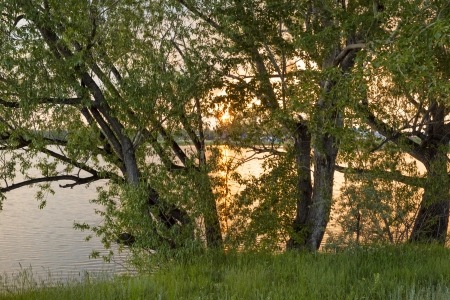 Sunset by the lakeの写真素材
