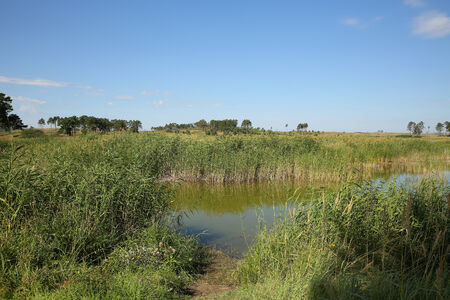 summer lakeの写真素材