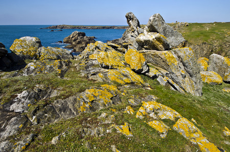 Wild Rocky Coastline in South of Yeu Island with spring flowers and green plants at foreground. France Vendee Pay loireの写真素材