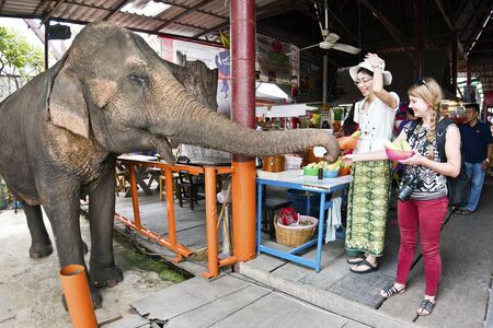 Ayutthaya, Thailand, November 7, 2015 The life floating market in Ayutthaya, UNESCO heritage site. Thai and European girls give food to young elephant.のeditorial素材