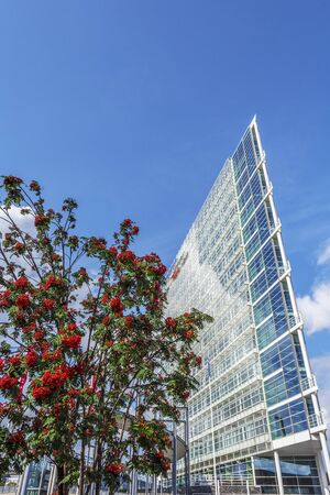 Jyvaskyla, Finland - August 17, 2017 Rowanberry tree and the office building in Konttoriaukio Square...