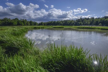 The lake Isabladskarret in Djurgarden island of Stockholm City in Sweden, as seen from the bird watching point. The sun is reflecting in water. The Royal National City Park.の写真素材