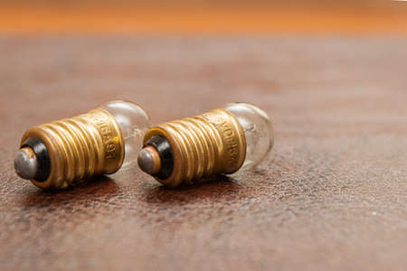 Vintage, small bulbs lying on a leather background. Steampunk.の写真素材