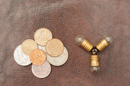 Vintage, a small light bulb with coins (Russian rubles) lie on a leather background. Steampunk.