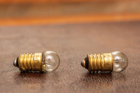Vintage, small bulbs lying on a leather background. Steampunk.の写真素材