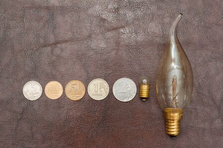 Vintage, a small light bulb with coins (Russian rubles) lie on a leather background. Steampunk.の写真素材