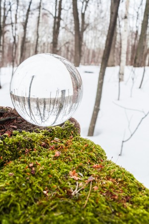Environment concept. Crystal ball lies in the woods on moss.の写真素材