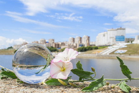 The concept of summer cityの写真素材