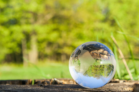 the concept of nature, green forest. Crystal ball on a wooden stump with leaves.の写真素材